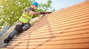 Best Roof Moss and Algae Removal  in Clinton, OH