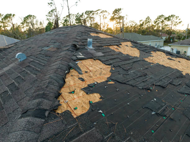 Best Chimney Flashing Repair  in Clinton, OH